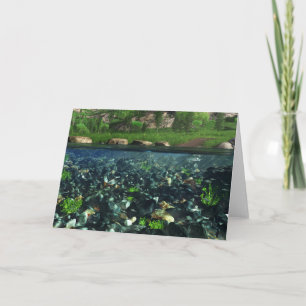 Cwm River Card Karte