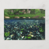 Cwm River Postcard Postkarte (Vorderseite)