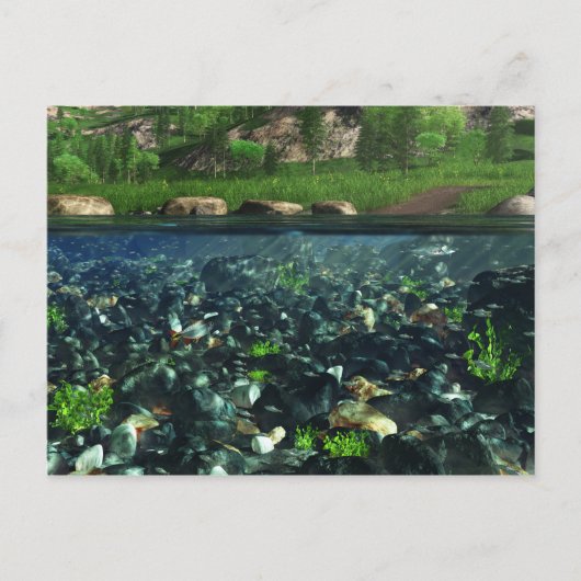 Cwm River Postcard Postkarte (Vorderseite)