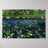 Cwm River Print Poster (Vorne)