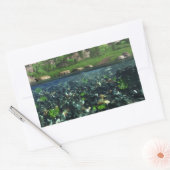 Cwm River Stickers (Umschlag)