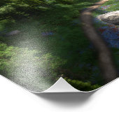 Cwm Solitude Foto Print (Ecke)