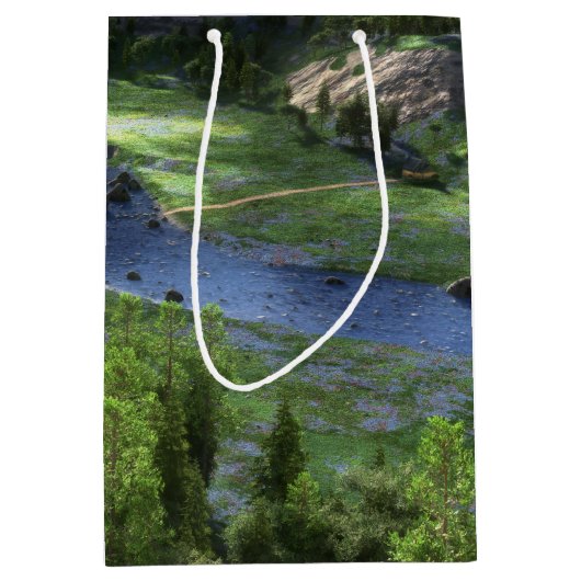 Cwm Solitude Geschenktasche Mittlere Geschenktüte (Vorderseite)