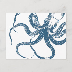 Cyanotype octopus postcard postkarte