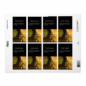 CYBORG TITAN IN HYPERION DESERT Sci-Fi (Vorne)