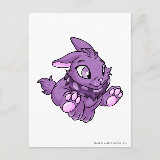 Cybunny Lila Postkarte (Vorderseite)