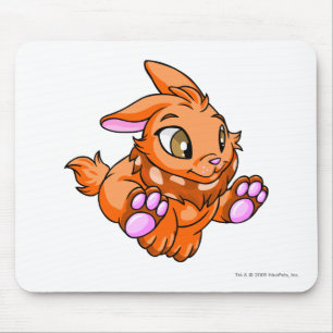 Cybunny Orange Mousepad