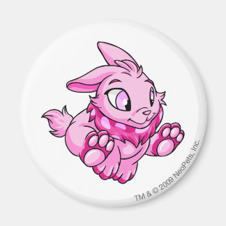 Cybunny Pink Magnet