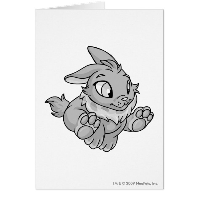 Cybunny Silber (Vorne)