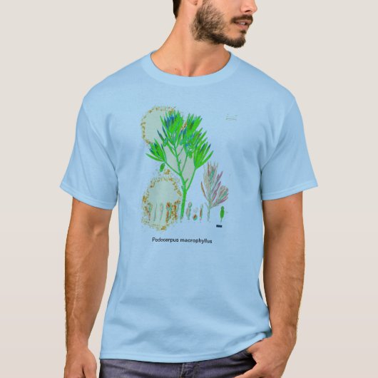 CYCAD Podocarpus-Druck-Shirt T-Shirt (Vorderseite)