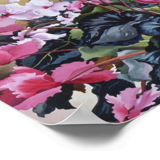 Cyclamen 2004 poster (Ecke)
