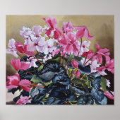 Cyclamen 2004 poster (Vorne)