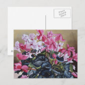 Cyclamen 2004 postkarte (Vorne/Hinten)
