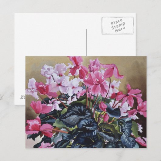 Cyclamen 2004 postkarte (Vorne/Hinten)
