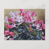 Cyclamen 2004 postkarte (Vorderseite)