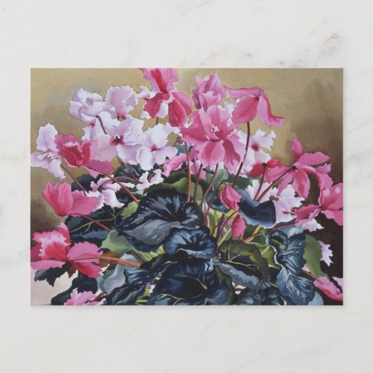 Cyclamen 2004 postkarte (Vorderseite)