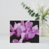 Cyclamen Coum Postcard Postkarte (Stehend Vorderseite)