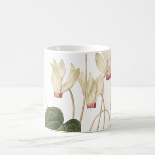 Cyclamen (Cyclamen sp.) von Redouté Kaffeetasse (Mittel)