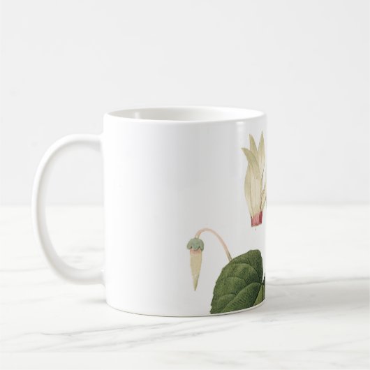 Cyclamen (Cyclamen sp.) von Redouté Kaffeetasse (Links)