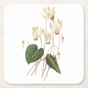 Cyclamen (Cyclamen sp.) von Redouté Rechteckiger Pappuntersetzer