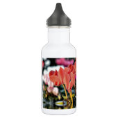 Cyclamen in Wasser Trinkflasche (Links)
