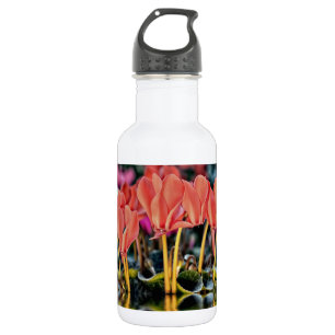 Cyclamen in Wasser Trinkflasche