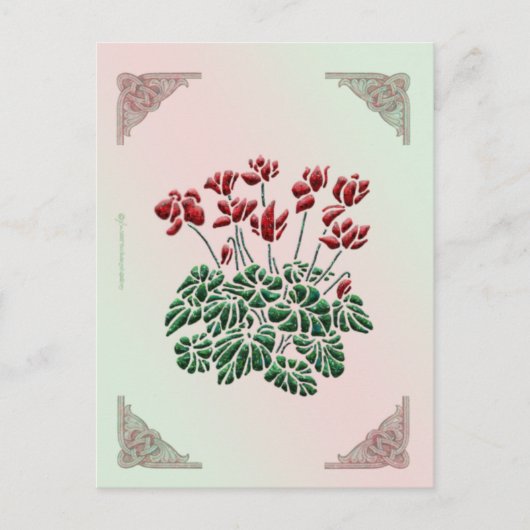 Cyclamen Postcard Postkarte (Vorderseite)