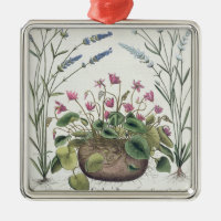 Cyclamen und Lavendel: 1.Cyclamen Romanum; 2.Spica