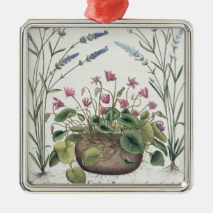 Cyclamen und Lavendel: 1.Cyclamen Romanum; 2.Spica Ornament Aus Metall