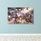 Cyclamen Wrapped Canvas Leinwanddruck (Insitu (Holzboden))