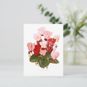 Cyclamens Postkarte (Stehend Vorderseite)