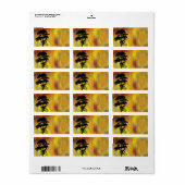 Cyclientadresse-Label Adressaufkleber (Vorne)