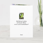 Cydney Yellow Naped Parrot Karte (Rückseite)