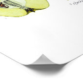 Cydonia vulgaris (Quince) Poster (Ecke)