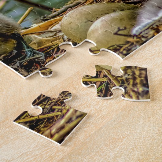 Cygnet Puzzle (Seite)