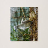 Cygnet Puzzle (Vertikal)