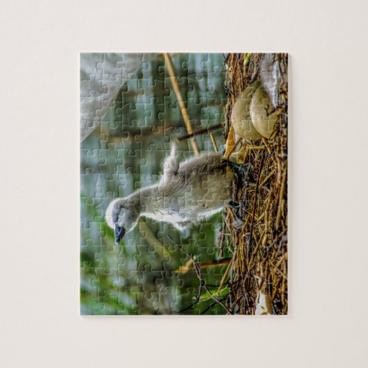 Cygnet Puzzle (Vertikal)