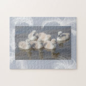 Cygnets & Feathers Puzzle (Horizontal)