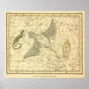 Cygnus, Laceria und Via Lactea Poster