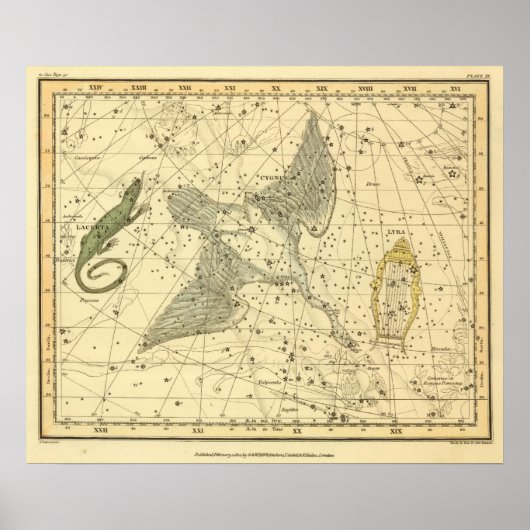 Cygnus, Laceria und Via Lactea Poster (Vorne)