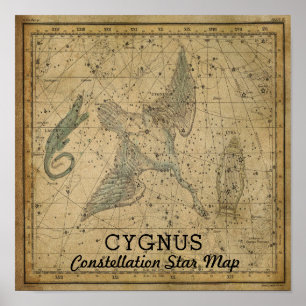 Cygnus Swan Constellation Star Map Poster