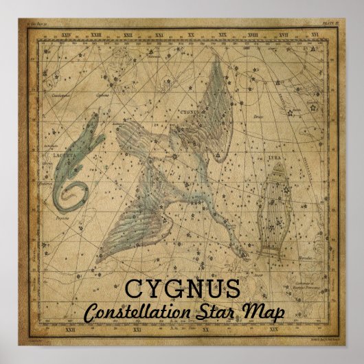 Cygnus Swan Constellation Star Map Poster (Vorne)