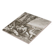 Cygnus umgewandelt in ein Schwan und des Phaetons Fliese (Seite)