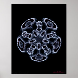 Cymatics: Musiknote C Poster