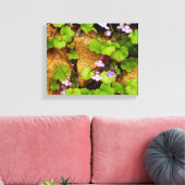 Cymbalaria Muralis Canvas Print Leinwanddruck (Insitu (Wohnzimmer))