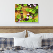 Cymbalaria Muralis Canvas Print Leinwanddruck (Insitu (Schlafzimmer))
