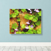 Cymbalaria Muralis Canvas Print Leinwanddruck (Insitu (Holzboden))