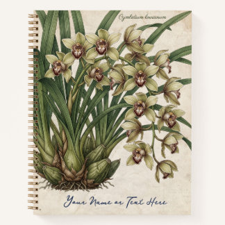 Cymbidium lowianum Orchidee Notizblock