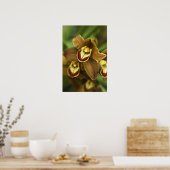 Cymbidium Orchid Poster (Küche)