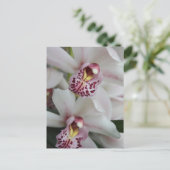 Cymbidium Orchid Postkarte (Stehend Vorderseite)